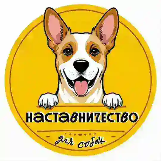не помогай, наставничай Telegram Channel Avatar