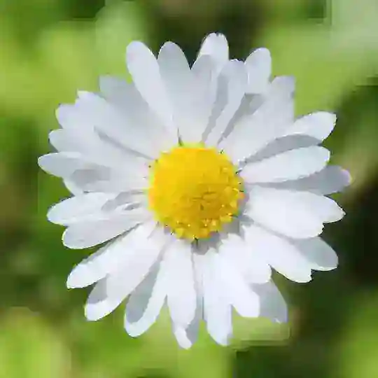 Spiritualwiki AHA-Zitate Telegram Channel Avatar