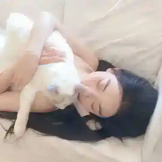 素材|sucai Telegram channel