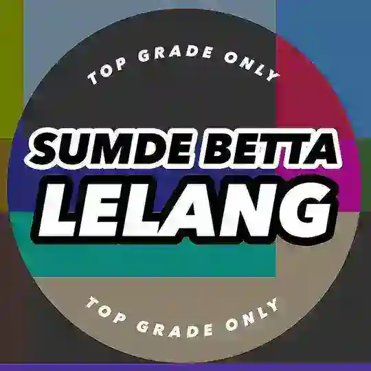 SUMDE BETTA LELANG Telegram Channel Avatar