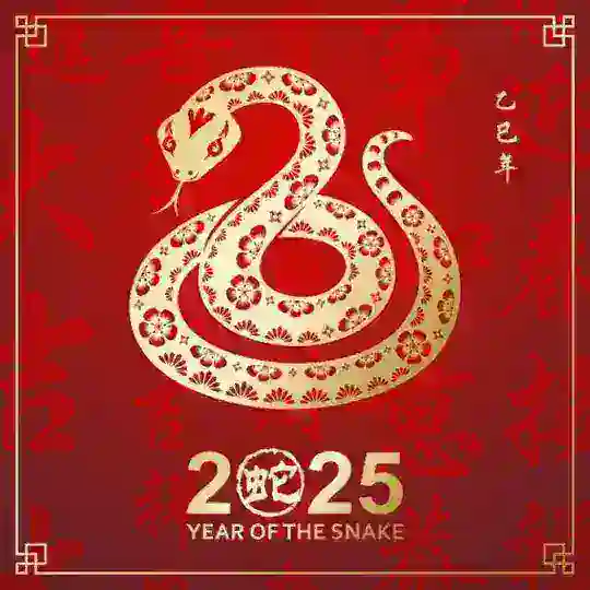足球,协议球,蛇货,比赛内幕 Telegram Channel Avatar