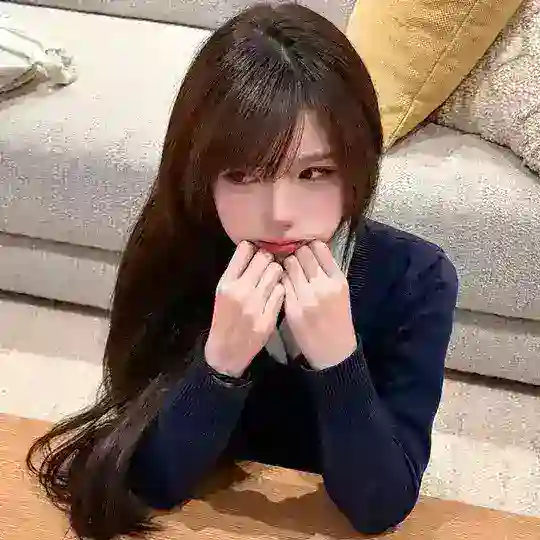铁西区女仆资料 Telegram Channel Avatar