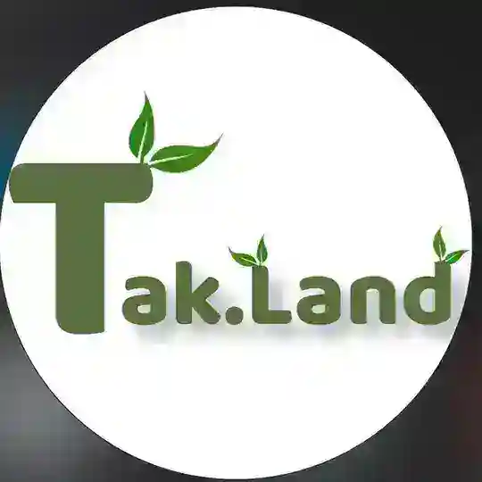 تاکـــــلند 🍇💰 Telegram channel