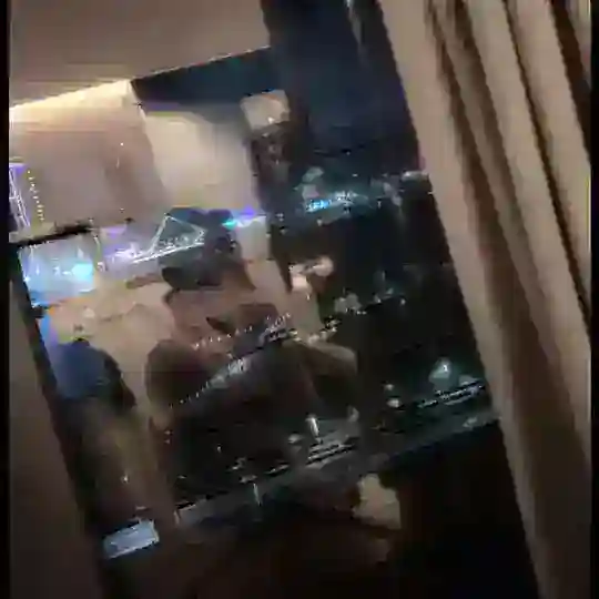 糖炒栗子 Telegram Channel Avatar