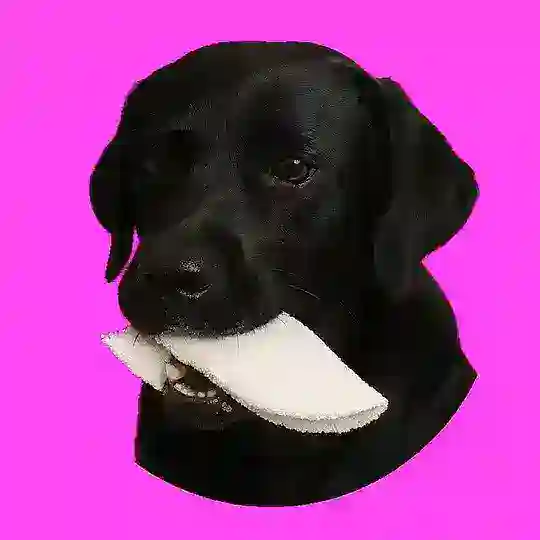 Tapioca Normal Telegram Channel Avatar