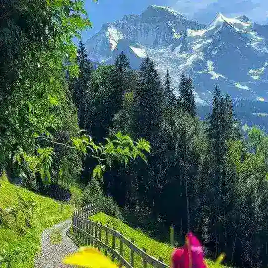 صور طبيعة جميلة Telegram Channel Avatar