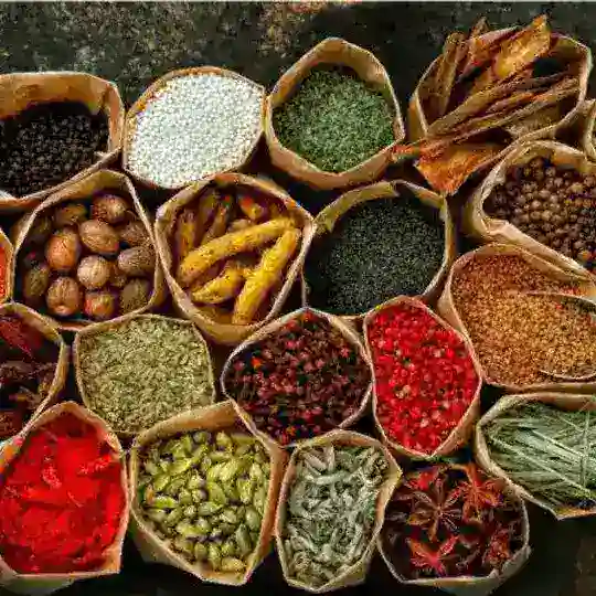 تغذیه و رژیم Telegram Channel Avatar