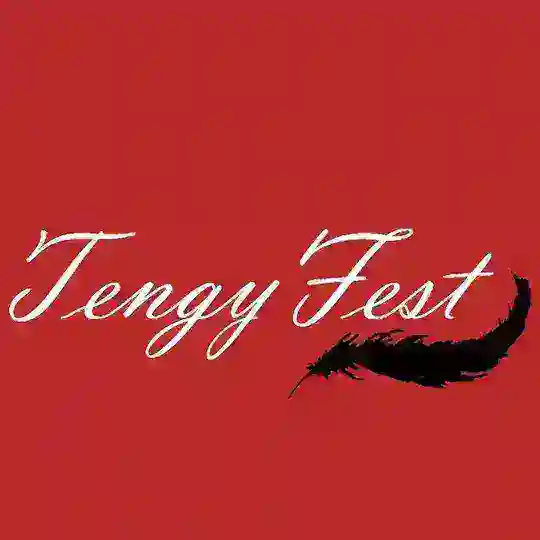 TengyFest 2026 || Краснодар Telegram Channel Avatar