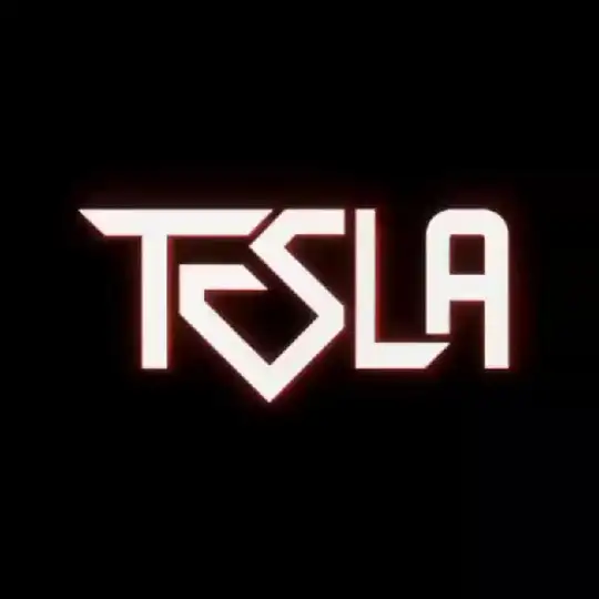 ربات سلف تسلا | خرید سلف | Selftesla Telegram Channel Avatar