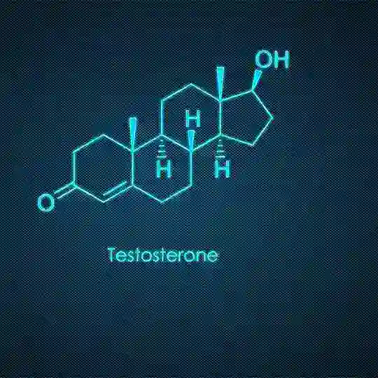 TESTOSTERONA Telegram Channel Avatar