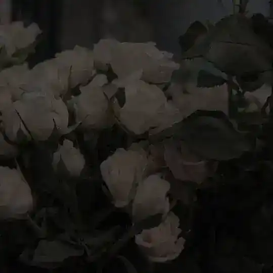 уголок уюта❤️ Telegram Channel Avatar