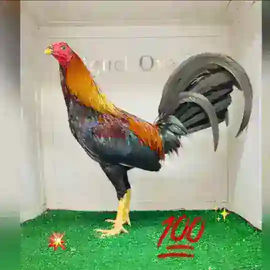 Gallos Miguel Ovalles. Telegram Channel Avatar
