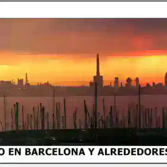 Trabajo y empleo en Barcelona y alrededor Telegram Channel Avatar