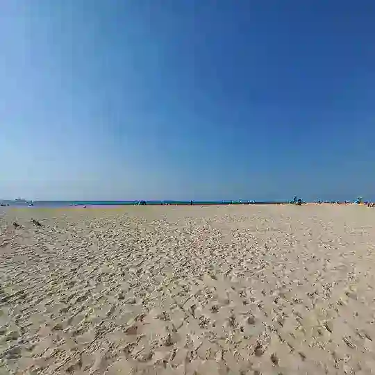 Travel Dubai🍹 «Сим-сим, откройся!» Telegram Channel Avatar
