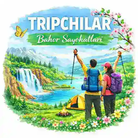 Tripchilar | Networking Club 🤝 Telegram Channel Avatar