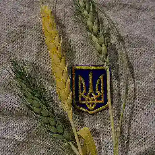 цитати українською 💌 Telegram Channel Avatar