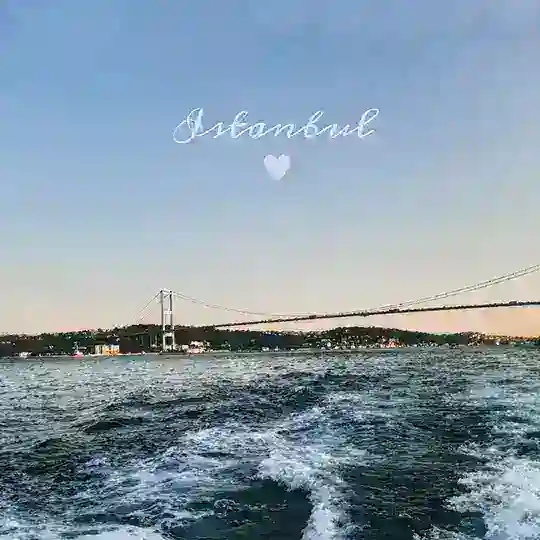 Türk alıntıları 🕊 Telegram Channel Avatar