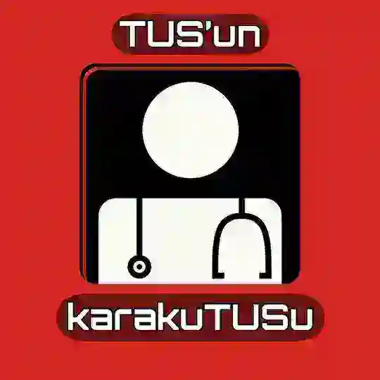 TUS'un karakuTUSu Telegram Channel Avatar