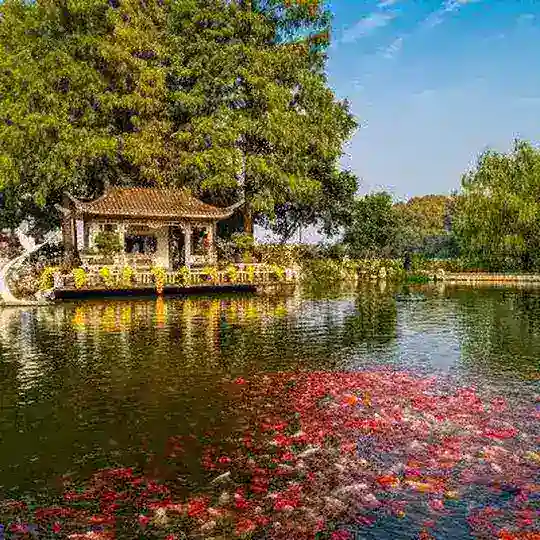 南京苏州夜色公开榜 Telegram Channel Avatar