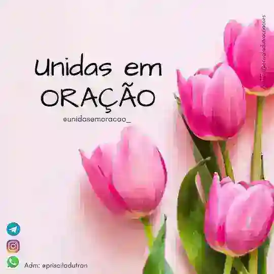 UNIDAS EM ORAÇÃO🌷 Telegram Channel Avatar