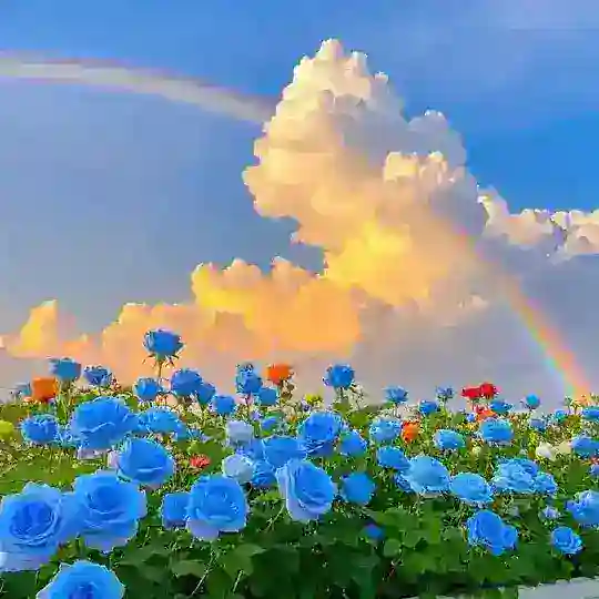 感情文案馆+风景 Telegram Channel Avatar