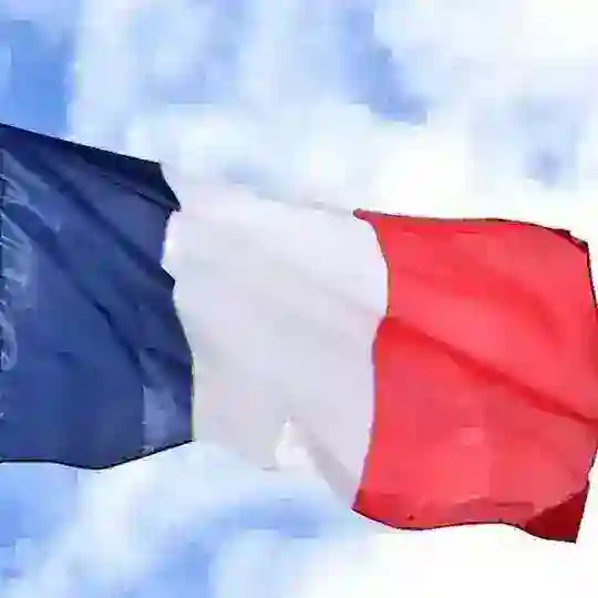 ВИЗЫ ВНЖ ФРАНЦИЯ МОНАКО RAEVSKAIA FRANCE 🇫🇷 Telegram Channel Avatar