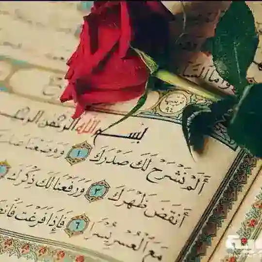 أَلَمۡ نَشۡرَحۡ لَكَ صَدۡرَكَ Telegram Channel Avatar