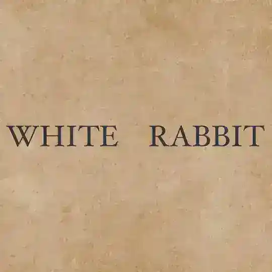 White_rabbitt_01 Telegram Channel Avatar