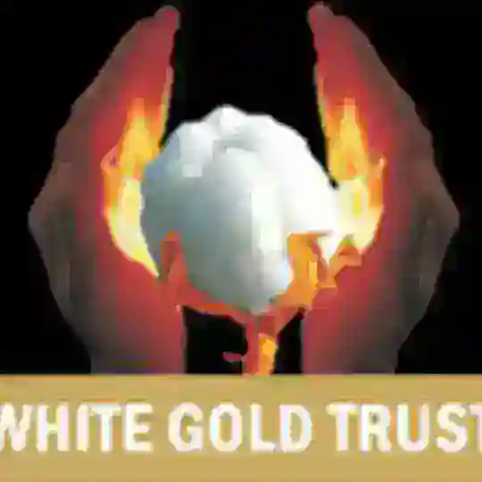व्हाईट गोल्ड ट्रस्ट, छत्रपती संभाजीनगर (White Gold Trust, Chatrapati Sambhajinagar) Telegram Channel Avatar