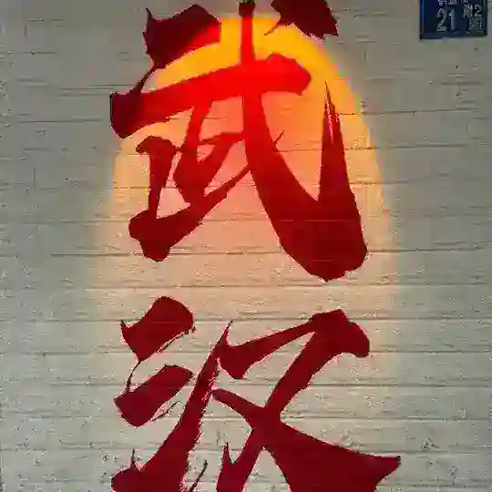 武汉/95/98养生半套全套 Telegram Channel Avatar