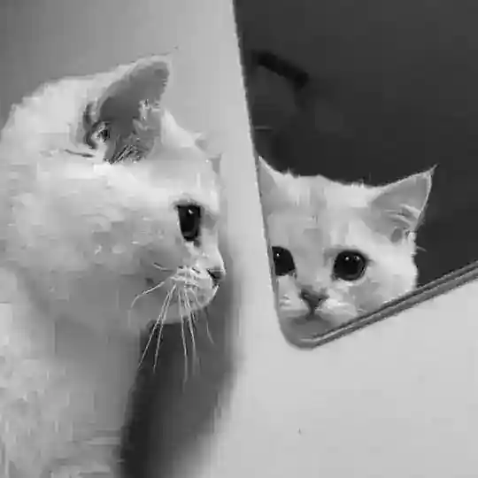 پەیــامـہ ∆ 𝒑𝒂𝒚𝒂𝒎 ⁽ཻ🍁₎ Telegram Channel Avatar