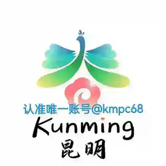昆明外围十余年靠谱 Telegram Channel Avatar
