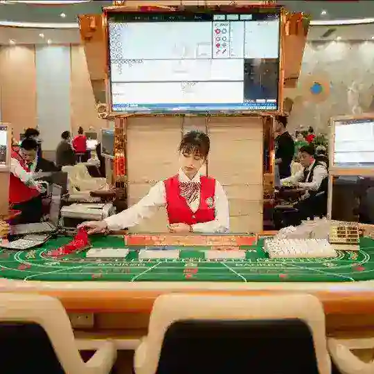 圣淘沙娱乐公司《官方频道》 Telegram Channel Avatar