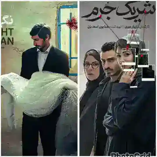 شریک جرم ● ۵۰ کیلو آلبالو ● نگهبان شب Telegram Channel Avatar