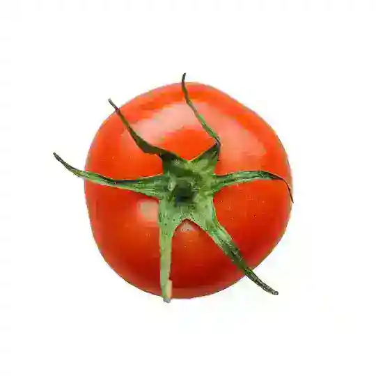 You & Co. Seasonal Fare! logo