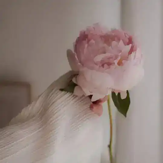زهرة بلدي Telegram Channel Avatar