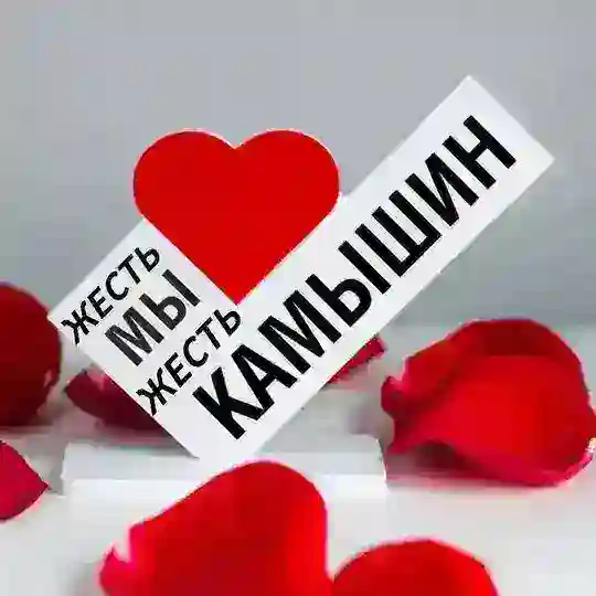 Жесть. Камышин Telegram Channel Avatar