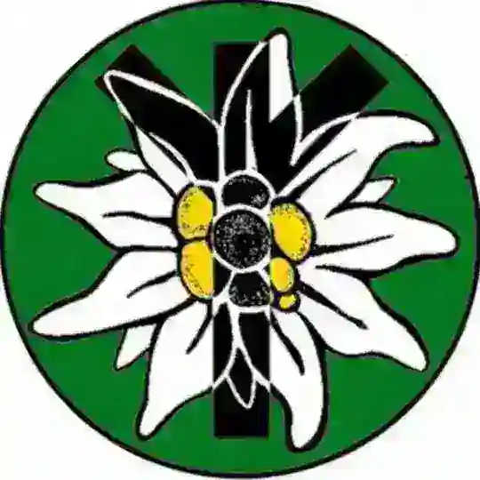 Alianza de Midgard Telegram Channel Avatar