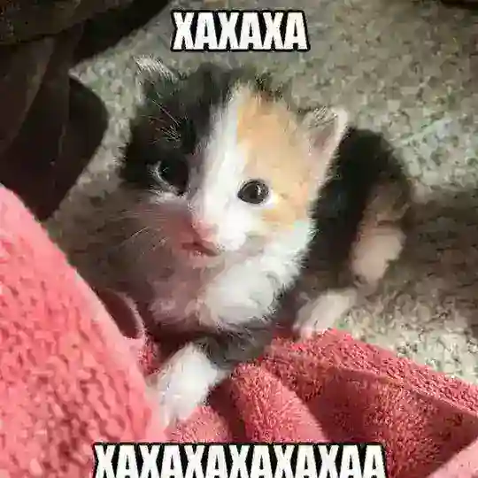 Симпяра рисует Telegram Channel Avatar