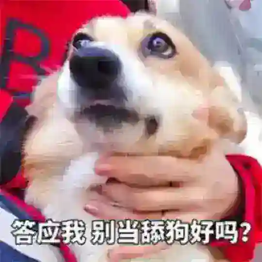 吃瓜群众/吃瓜爆料/吃瓜社区 Telegram Channel Avatar