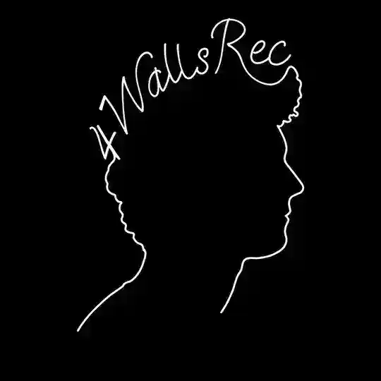 4WallsRec. Telegram Channel Avatar