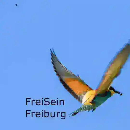 FreiSeinFreiburg Telegram Channel Avatar