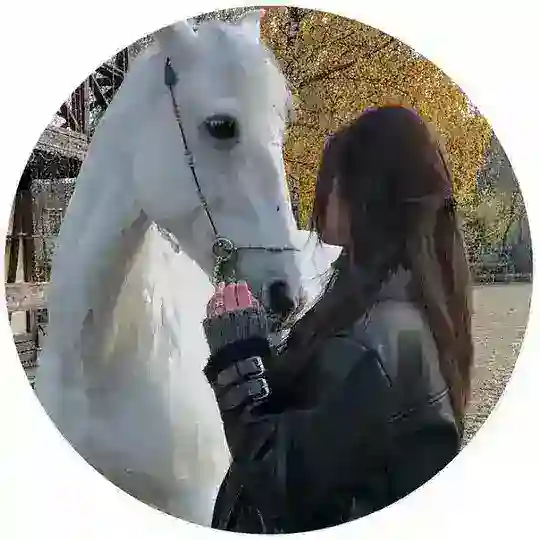 ❥︎ 𝑺 𝑼 𝒍 𝑻 𝑨 𝑵 𝐌 Telegram Channel Avatar