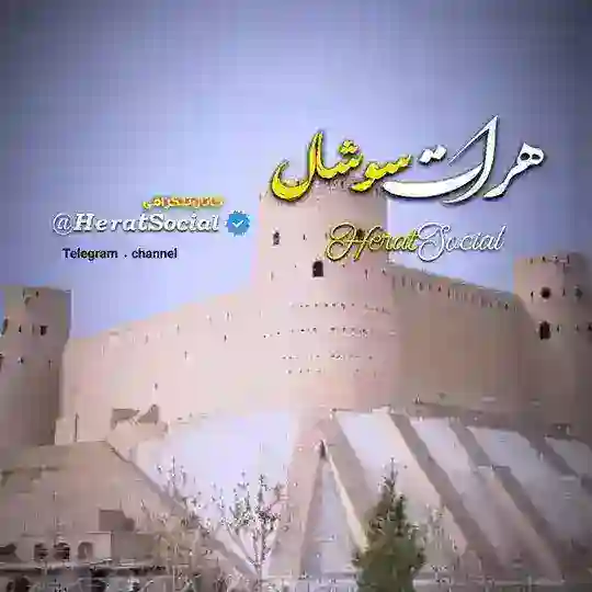 هرات سوشال • Herat Social Telegram Channel Avatar