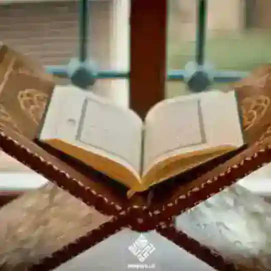 IQBOL Telegram Channel Avatar