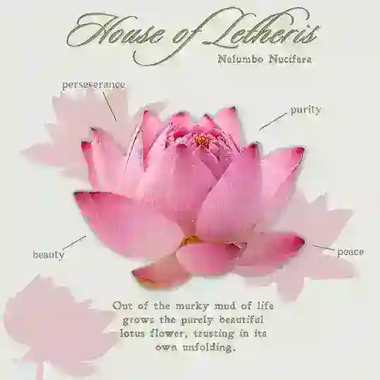 Letheris’ Postcard. Telegram Channel Avatar
