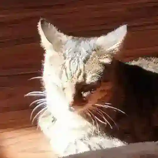 МАРИНК Telegram Channel Avatar