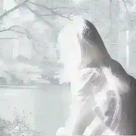 ᨮ mp confession (набор в админы) Telegram Channel Avatar