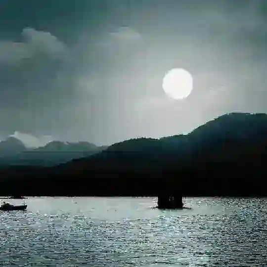 大漠孤烟⛓️皇汉 Telegram Channel Avatar