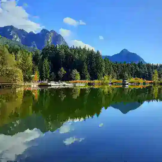 Die Natur als Spiegel unserer Seele🦋☀️🌺🌈🏔🌳 Telegram Channel Avatar